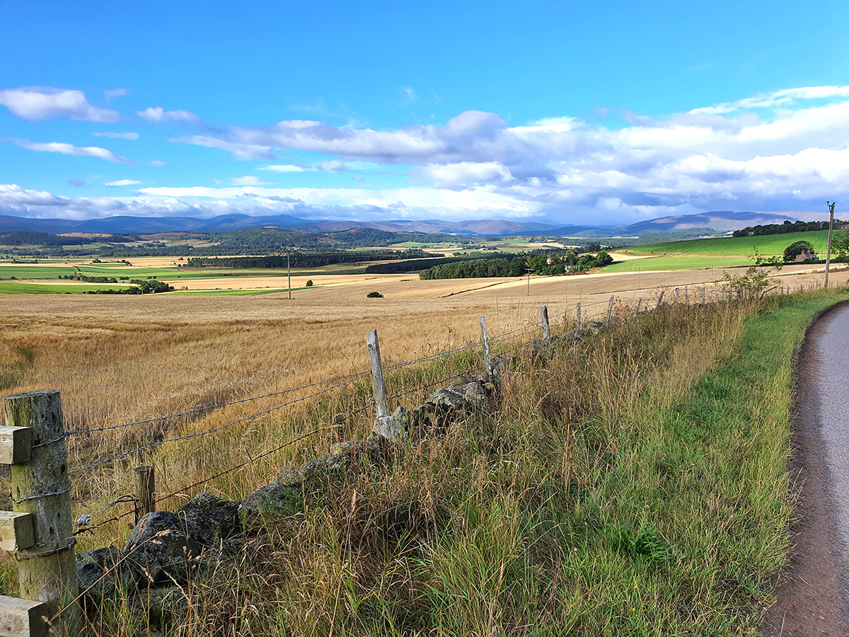 Changing the landscape of agricultural finance