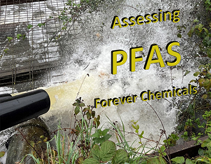 PFAS – Once Overlooked, Now Unavoidable –  What You Can Do About It