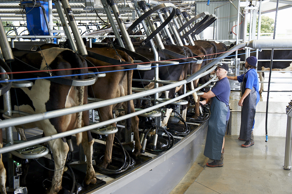 What is next for your farm?