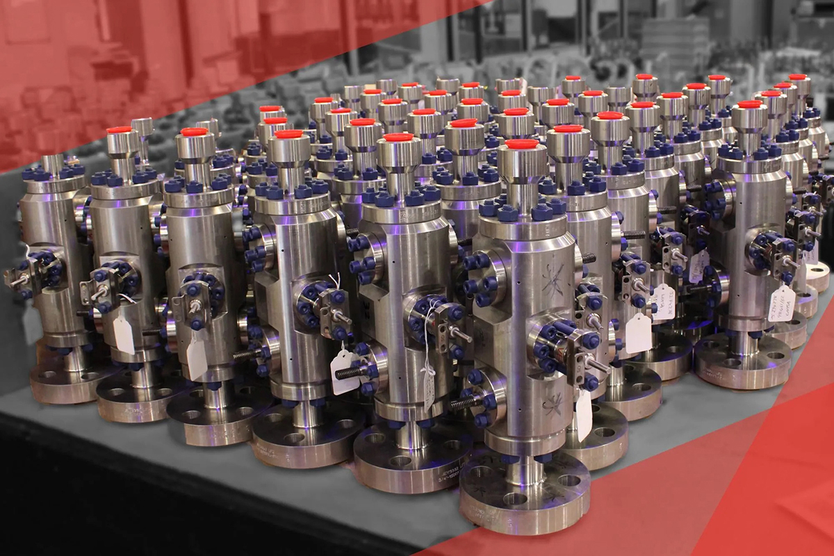 D Type DBB Valves for major Middle East gas development